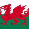 Flag of the Wales