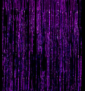 purple door curtain