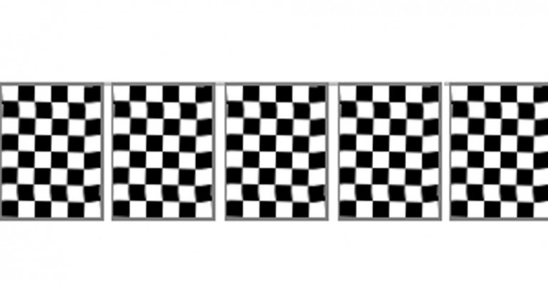 checkered_bunting
