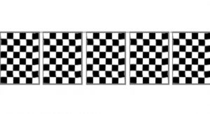 Checkered bunting