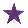 Cardboard Cutout Star purple
