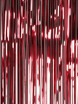 Party Werks red tinsel curtain