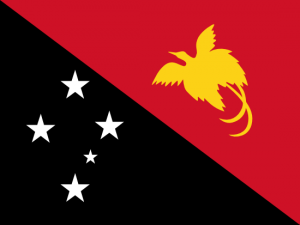 PNG flag