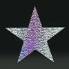 Cardboard Cutout Star holographic silver