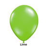 Party Werks Lime 12cm