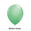 Party Werks winter green 12cm